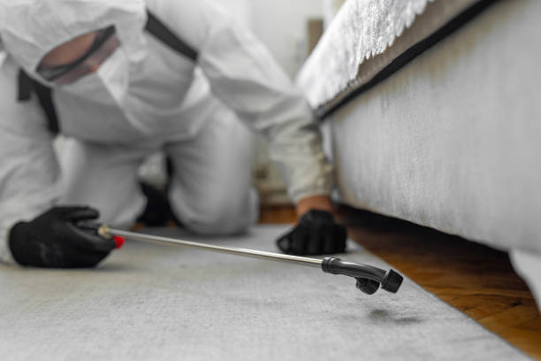 Professional Bed Bug Control technician working in Noble County County, OH